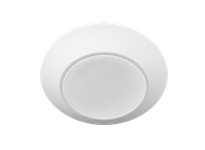 RAB DSK34-4R12950120WS Surface & Flush Mounts 888 Lumens | High-Quality Lighting