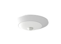 RAB DSKFA-4R109CCT120WS/PIR FLUSH MOUNT DOWNLIGHTS 600 LUMENS DISK FIELD ADJUSTABLE 4 INCH ROUND 10W 90CRI 3000/4000/5000K 120V 