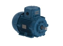 WEG E0.7518XP3WAX90SF3-W .75 1500 3 50 220-240/ ATEX F3