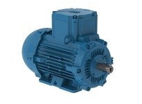 WEG E00318XP3YAX112MF3-W 3 1500 3 50 380-415/ ATEX F3 XP - Epact