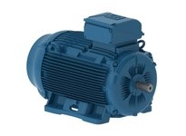 WEG E03718ET3YAX225SMF3W 37KW 1500 50//60 380 | High-Performance Motor