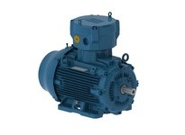 WEG E07536XP3YAX280SMF3W 75 3000 3 50 380-415/ ATEX F3