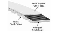 Gates 95821183 E162XL025 PowerGrip TruMotion Belts | High-Performance Belts