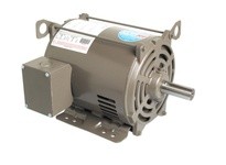 Century E207M2 2 HP 1180RPM 184T DP 3/60/230/4602 | Reliable Motors