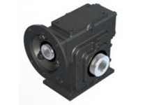 Winsmith E20MSTS51230FT E20MSTS 50 DLR 56C 1.44 Worm Gear Reducer | YarinInd