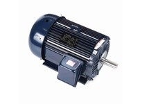 Marathon E2122-P Model#: 254TTFL16036 HP: 15 RPM: 1800 Frame: 254T Enclosure: TEFC Phase: 3 Voltage: 230/460 HZ: 60This model ha