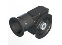 Winsmith E26CSFS41160DN E26CSFS 20 DL 56C 1.00 Worm Gear ReducerFlange mount hollow output Model, 56C Frame, C-Flange with Coupl