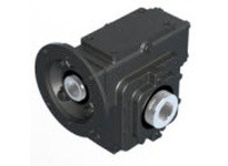 Winsmith E26MDSS51270FT E26MDSS 50 DLR 56C 1.69 Worm Gear ReducerFootless hollow shaft output Model, 56C Frame, C-Flange with Qu