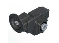 Winsmith E43MDSXA3350GC E43MDSX 60 UDLR 180TC 2.19 Worm Gear Reducer