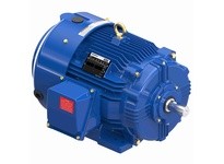 Marathon E490A 286TSTFCD6804 30 3600 TEFC 286TS 3/60/230/460