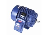 Marathon E566 Model#: 324TSTGS6501 HP: 40 RPM: 3600 Frame: 324TS Enclosure: EPFC Phase: 3 Voltage: 230/460 HZ: 60This model has 