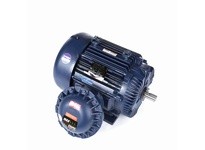 Marathon E575 Model#: 365TSTGS16503 HP: 75 RPM: 3600 Frame: 365TS Enclosure: EPFC Phase: 3 Voltage: 230/460 HZ: 60This model has