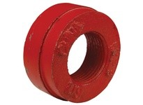 Dixon EC251 ANSI Cap with Tapped Outlet - Series-EC