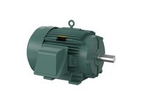 Baldor ECP43014TX-50 60HP, 1485RPM, 3PH, 50HZ, 364T, A36070M, TEFC