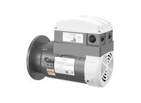Baldor ECS101T3K2P2ED4 2.2KW, 1500RPM, 3PH, 50HZ, D112D, 3624B, TEFC