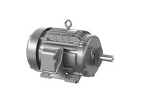 Baldor ECTM2333T-5G 15HP, 1765RPM, 3PH, 60HZ, 254T, 0944M, TEFC, F1