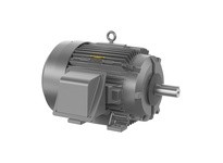 Baldor ECTM4314T-5G 60HP, 1780RPM, 3PH, 60HZ, 364T, A3658M, TEFC, F