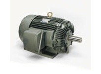 Teco-Westinghouse EP2004 AEHH8N MAX-E1 HP: 200 RPM | YarinInd