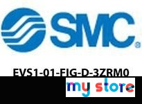 SMC EVS1-01-FIG-D-3ZRM0 4/5 PORT SOLENOID VALVE | YarinInd