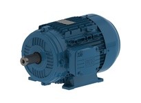 WEG .1809EP3EAL80 .18kW 900 3 60/50 230/460V IEC-AL | High-Quality Motors