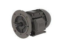 WEG .3718EP3EAL71FF-W22 .37kW 1800 3 60/50 230/460V