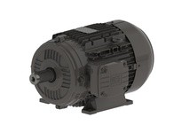WEG .7536EP3EAL80 .75kW 3600 3 60/50 230/460V IEC-AL