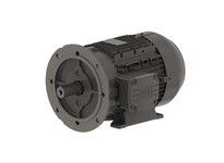 WEG .7536EP3EAL80FF .75kW 3600 3 60/50 230/460V IEC-AL