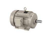 Baldor FDEM2334T-5 20HP, 1770RPM, 3PH, 60HZ, 256T, TEFC, F1