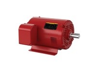Baldor FPM2546T-5 60HP, 3520RPM, 3PH, 60HZ, 326TS, 4062M, ODP, F1