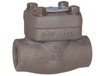 Dixon FSCV50 Check Valve | High-Quality Industrial Supplies