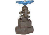 Dixon FSGV75 Forged Steel Gate Valve
