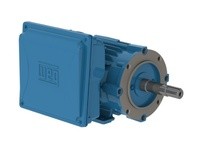 WEG 00118ES1E143JM-W22 1HP 1800 1 60 208-230/460