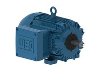 WEG 00209XT3E213T 2HP 900 60 208-230/460 XP - Nema Pr