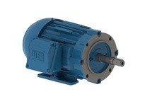 WEG 00218ET3E145JM-W22 2HP 1800 3 60 230/460 Close C-TEFC
