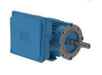 WEG 00336ES1B145JM-W22 3HP 3600 1 60 115/208-230V | YarinInd