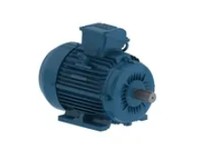 WEG 00336ET3E182TF2-W22 3HP 3600 3 60 208-230/460V TEFC-NEMA Pr