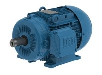 WEG 00518ET3EAL132S-W22 5.5kW 1800 3 60//50 230/460//1