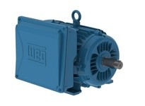 WEG 00536ES1E184T-W22 5HP 3600 1 60 208-230/460V | YarinInd