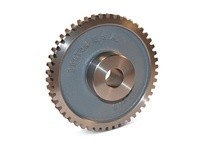 Boston 30217478 13250 G1111 RH C. I. WORM GEAR