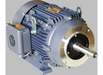 Techtop GA3-CI-TF-286JM-2-BR-D-40 GRAY LINE CAST IRON 3 PHASE EPAc