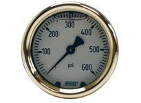 Dixon GLBRC160 Brass Liquid Filled Center Back Mount Gauge | Industrial Supplies