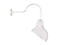 RAB GN1LED13YRADW Gooseneck Style1 13W Warm LED ANG Dome Shade RECT REFL White | YarinInd