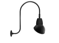 RAB GN3LED26NAD11B Gooseneck Style3 26W Neutral LED 11" Angled Dome Shade Black