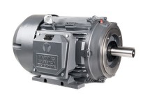 Techtop GR3-C1-TF-215TC-4-B-D-10 General Purpose Motor | YarinInd