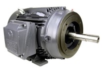 TechTop GR3-CI-TF-284JM-2-BR-D-25 TEFC 25 HP 3600RPM 284JM 3-PHASE Pump Motor
