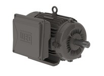 WEG 00736ES1B213T-W22 7.5HP 3600 1 60 115/208-230V | YarinInd