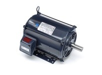 Marathon GT0011A 213TTDBD6076 3HP 1200RPM 213T frame drip proof 3 phase 230/460 volt 60 hertz electric motorThis model has 3 hor