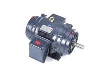 Marathon GT0064 256TTDBD6001 25HP 3600RPM 256T frame drip proof 230/460 volt 60 hertz electric motorThis model has 25 horsepower