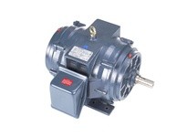 Marathon GT0069 284TSTDBD6001 30HP 3600RPM 284TS frame drip proof 230/460 volt 60 hertz electric motorThis model has 30 horsepow