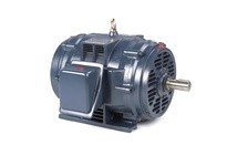 Marathon GT0074 324TSTDBD6026 40HP 1780RPM 324TS f | YarinInd